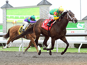 Aikenite wins the 2011 Commonwealth.