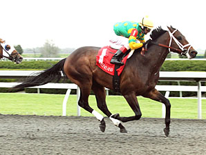 Aikenite wins the 2011 Commonwealth.