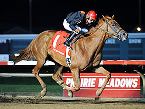 Aintgotno Home wins the 2014 Bob Bryant Stakes.