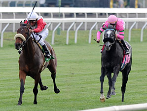 Air Support wins the 2011 Transylvania Stakes.