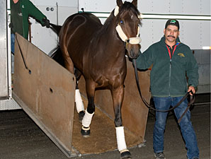 Air Support arrives at Woodbine on October 12, 2012.
