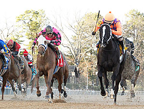 Aireofdistinction wins the 2014 Spring Fever Stakes.