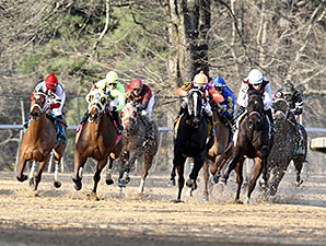 Aireofdistinction wins the 2014 Spring Fever Stakes.
