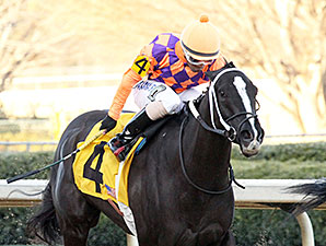 Aireofdistinction wins the 2014 Spring Fever Stakes.