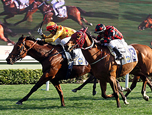 Akeed Mofeed wins the Cetenary Vase.