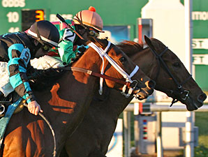 Akilina wins the 2009 Pago Hop