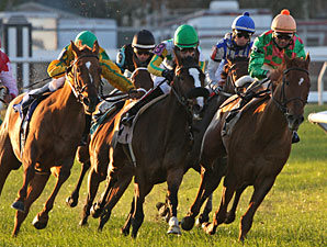 Akilina wins the 2009 Pago Hop