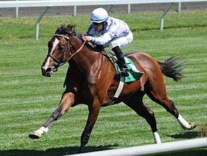 Al Khali in his 4/7/2012 Keeneland win.