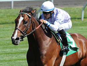 Al Khali in his 4/7/2012 Keeneland win.
