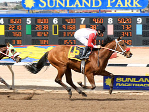 Alarm Bell wins the 2012 Copper Top Futurity Trial - Colts & Geldings