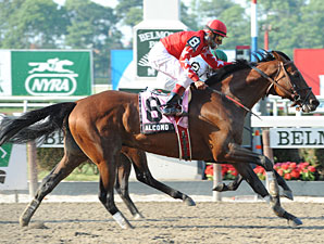 Alcomo wins the 2010 Brooklyn.