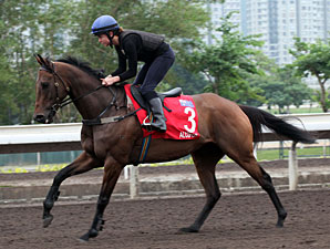 Alcopop - Hong Kong December 2012