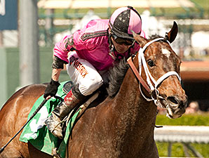Alert Bay wins the 2014 Echo Eddie Stakes.