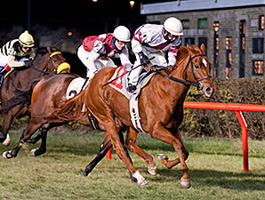 Alette wins the 2014 Illini Princess Handicap.