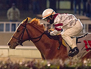 Alette wins the 2014 Illini Princess Handicap.