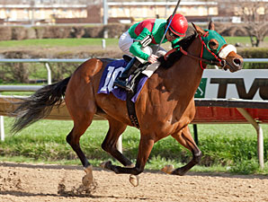 Algonquin Posse wins the Third Chance Handicap.