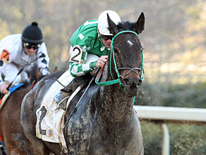 All About Allie wins the 2013 Downthedustyroad Breeders' Stakes.