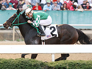 All About Allie wins 2011 The Rainbow Miss Stakes.