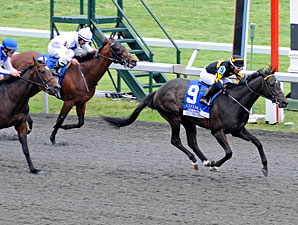 All Squared Away wins the 2012 Coolmore Lexington.