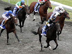 All Squared Away wins the 2012 Coolmore Lexington.