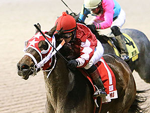 All Woman wins the 2013 Louisiana Jewel Stakes.