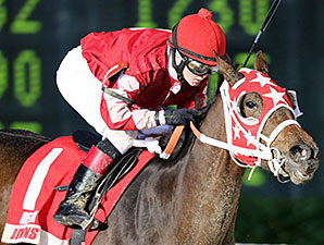 All Woman wins the 2013 Louisiana Jewel Stakes.