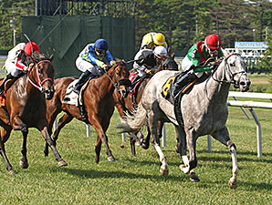Allaboutcaroline - Allowance Win, June 27, 2014.