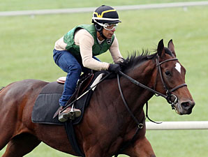 Almost an Angel - Keeneland Work October 26, 2012