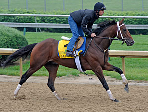 Alpha - Churchill Downs May 1, 2012. 