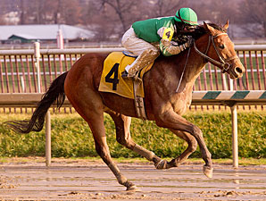 Alpha Mike Foxtrot wins the 2012 Maryland Juvenile Championship Stakes.