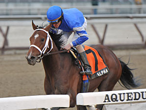 Alpha wins the 2012 Withers.