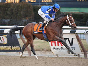Alpha wins the 2012 Withers.