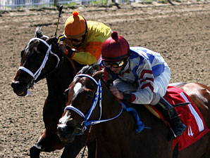Alphadoodle wins the 2009 Happy Ticket