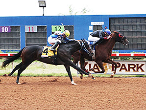 Alsono wins the 2013 Governor's Cup.