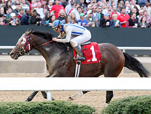 Alternation wins the 2012 Essex Handicap.