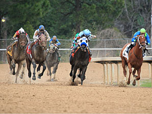 Alternation wins the 2012 Essex Handicap.