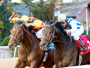 Alternation (inside) Oaklawn allowance win 1/15/11