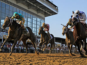 Alternation wins the 2012 Pimlico Special.