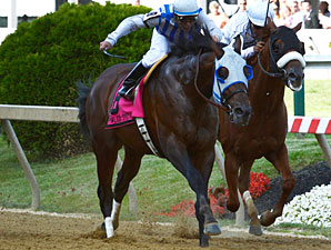 Alternation wins the 2012 Pimlico Special.