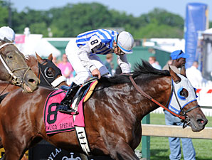 Alternation wins the 2012 Pimlico Special.