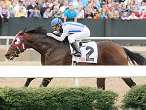 Alternation wins the 2012 Razorback Handicap.
