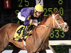 Amazing Saint wins the 2012 Bonnie Chance Stakes.