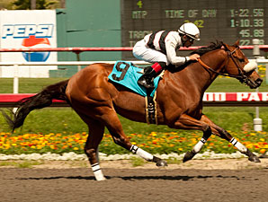 Amazombie wins the 2011 Tiznow Stakes.