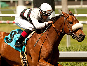 Amazombie wins the 2011 Tiznow Stakes.