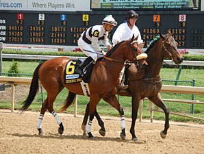 Amazombie in the Churchill Downs Stakes post parade.