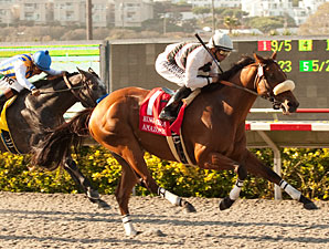 Amazombie wins the Bing Crosby.