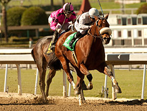 Amazombie wins the 2011 Ancient Title.