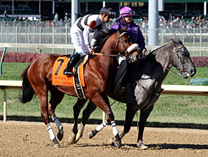 Amazombie in the 2011 Breeders' Cup Sprint.