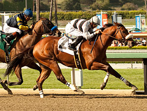 Amazombie wins the 2012 Potrero Grande.