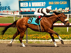 Amazombie wins the 2011 Tiznow Stakes.